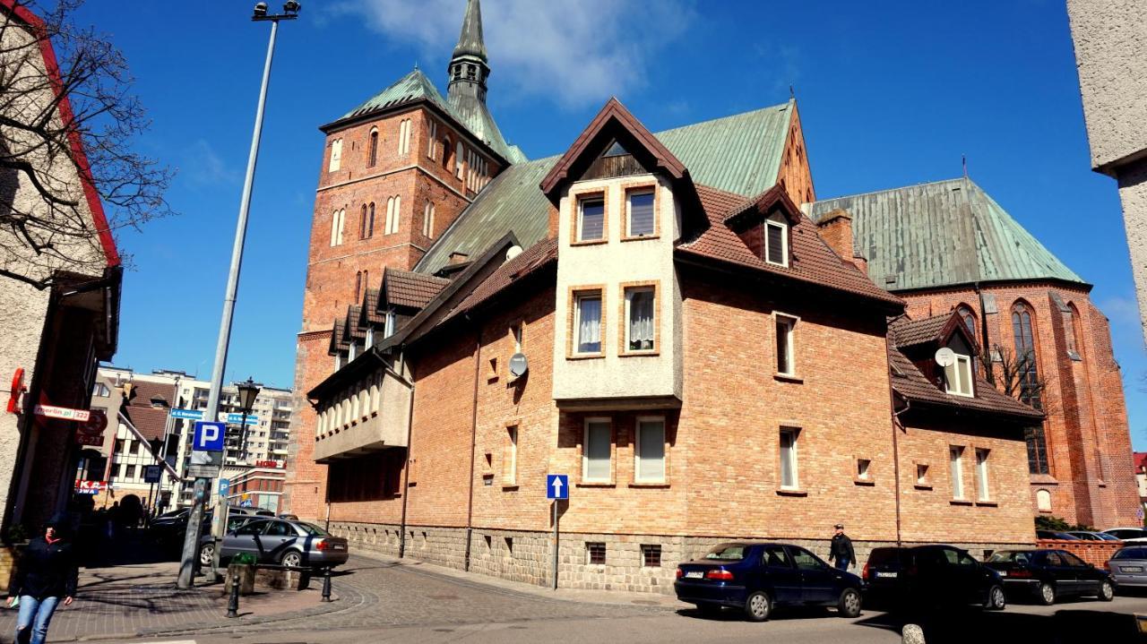 Star - Ogrody Kolobrzeg